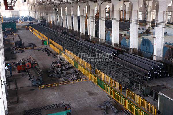 進(jìn)口商用鍋爐品牌