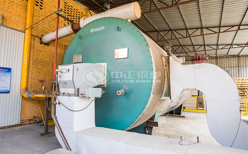 25噸蒸汽鍋爐,價格客戶案例圖片
