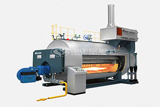 wns節(jié)能燃?xì)庹羝仩t