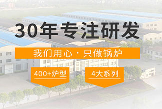 工業(yè)燃?xì)庹羝仩t廠家