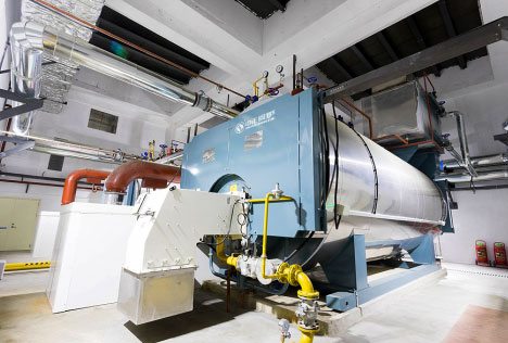 50t/h燃?xì)庑腿細(xì)庹羝仩t圖片