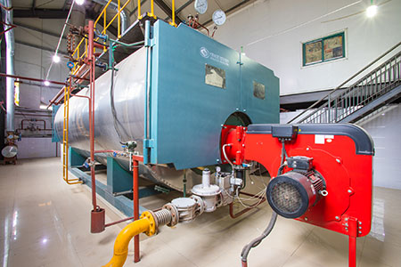 WNS燃?xì)庹羝仩t