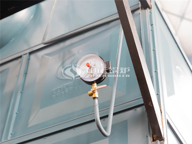 大型燃氣蒸汽鍋爐供應(yīng)