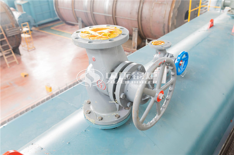 六噸燃?xì)庹羝麪t制造商