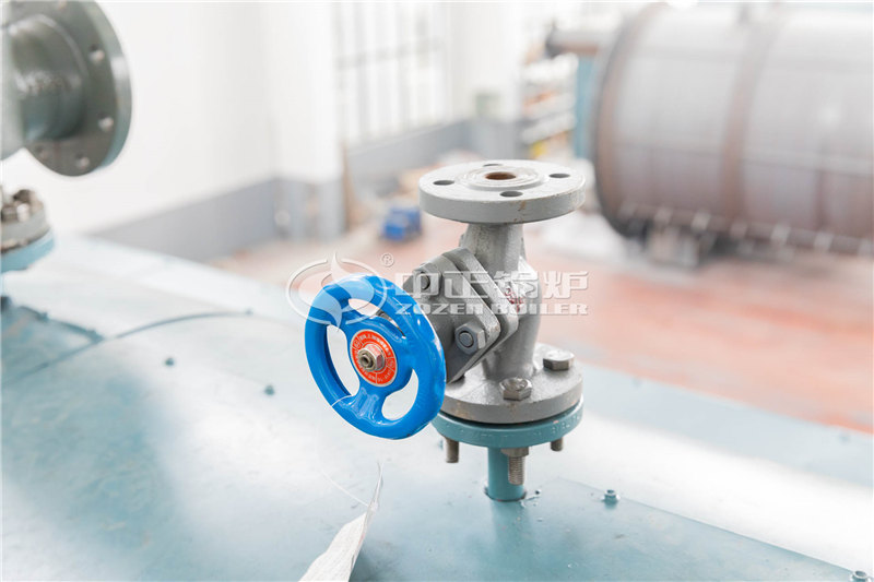 一噸燃?xì)庹羝仩t貴嗎