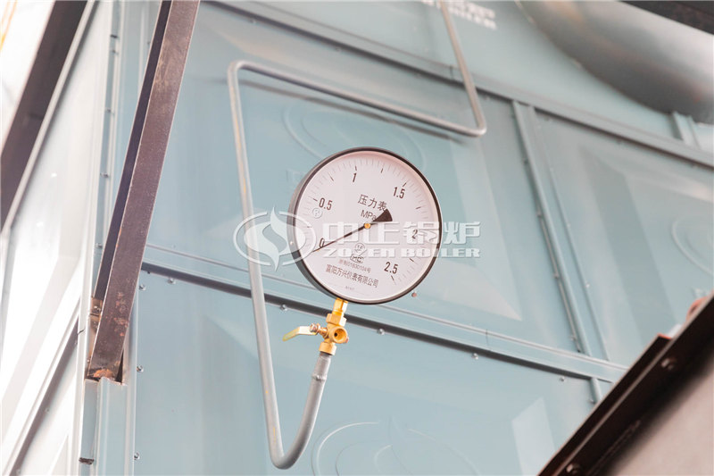 二十噸燃?xì)庹羝仩t企業(yè)