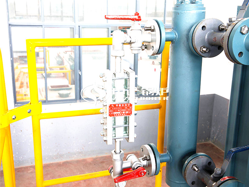 一臺(tái)6噸燃?xì)庹羝仩t價(jià)格