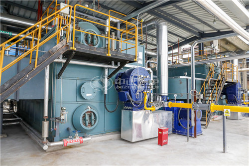 一臺20噸燃?xì)鉄崴仩t低多少錢