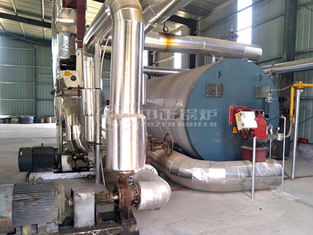 35t燃?xì)庹羝仩t