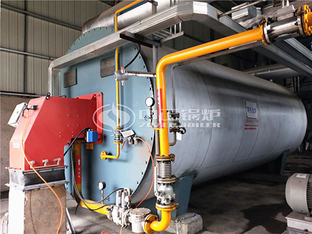 遠(yuǎn)大鍋爐25噸