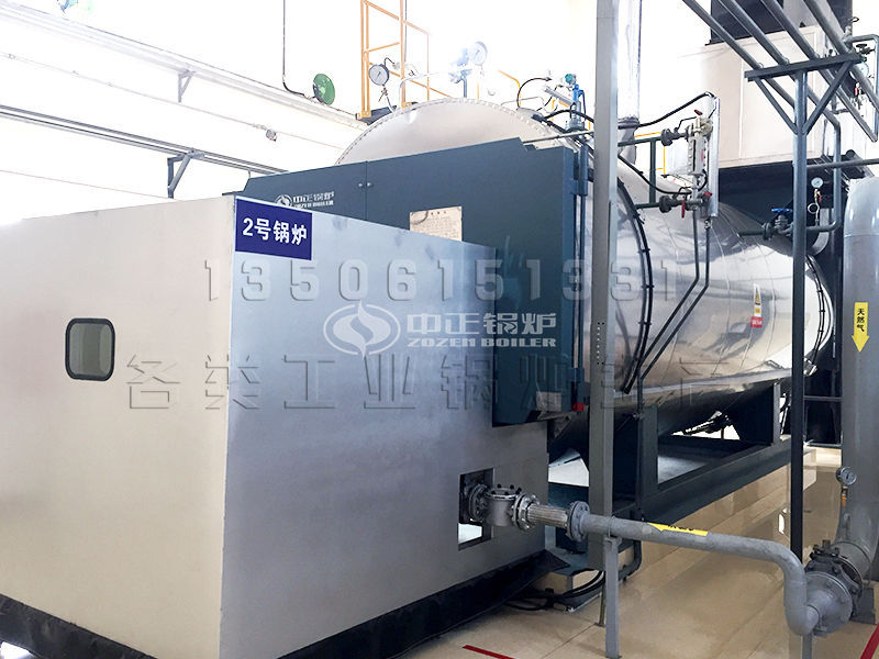 湖北撬裝導(dǎo)熱油鍋爐